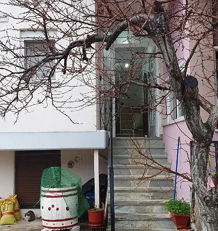 Panos 2 *